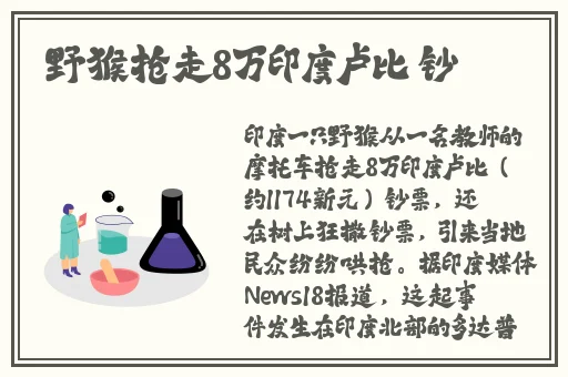 鲁友社区